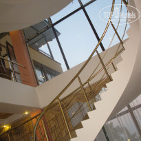 фото из отзыва ID 1384993