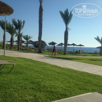 фото из отзыва ID 1385010