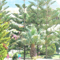 фото из отзыва ID 1385052