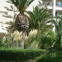 фото из отзыва ID 1385052