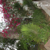 фото из отзыва ID 1385064