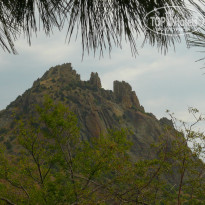 фото из отзыва ID 1385132