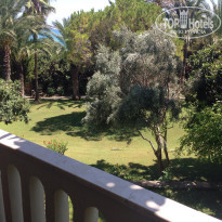 фото из отзыва ID 1385232