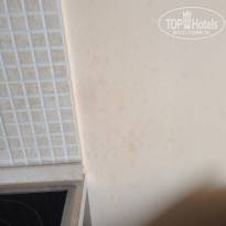 фото из отзыва ID 1385317