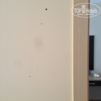 фото из отзыва ID 1385317