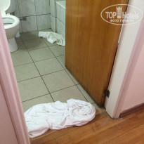 фото из отзыва ID 1385335