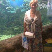 фото из отзыва ID 1385338