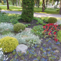 фото из отзыва ID 1385469