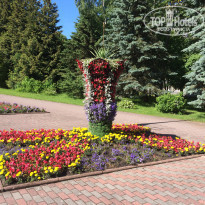 фото из отзыва ID 1385469