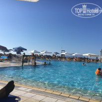 фото из отзыва ID 1385506