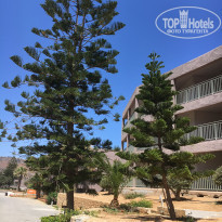 фото из отзыва ID 1385506