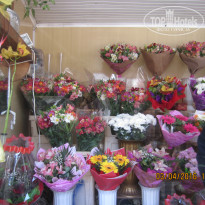 фото из отзыва ID 1384888