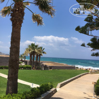 фото из отзыва ID 1385506