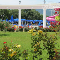 фото из отзыва ID 1385568