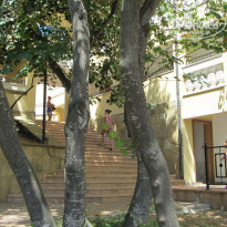 фото из отзыва ID 1385568