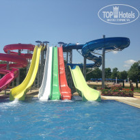 фото из отзыва ID 1385568