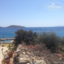 фото из отзыва ID 1385619