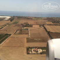 фото из отзыва ID 1385664