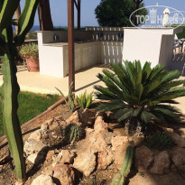 фото из отзыва ID 1385664