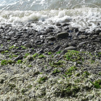 фото из отзыва ID 1385703