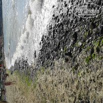 фото из отзыва ID 1385703