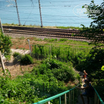 фото из отзыва ID 1385732