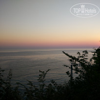 фото из отзыва ID 1385732