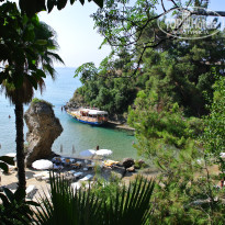 фото из отзыва ID 1385755