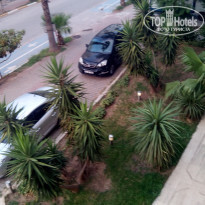 фото из отзыва ID 1385759