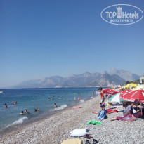 фото из отзыва ID 1385759