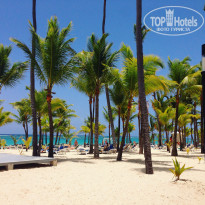 фото из отзыва ID 1385840