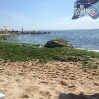 фото из отзыва ID 1385520