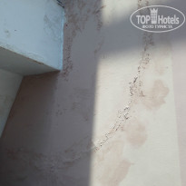 фото из отзыва ID 1385520