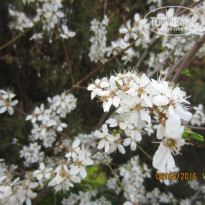 фото из отзыва ID 1384888