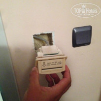 фото из отзыва ID 1385520