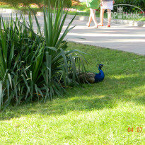 фото из отзыва ID 1385869