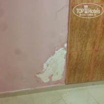 фото из отзыва ID 1385520