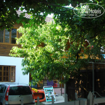 фото из отзыва ID 1385923