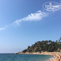 фото из отзыва ID 1385952