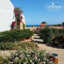 фото из отзыва ID 1385981