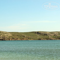 фото из отзыва ID 1385996