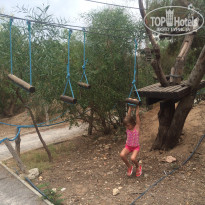 фото из отзыва ID 1386029