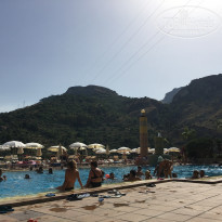 фото из отзыва ID 1386035