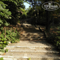 фото из отзыва ID 1385921