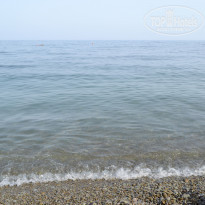 фото из отзыва ID 1386063