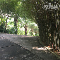 фото из отзыва ID 1386107