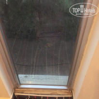 фото из отзыва ID 1386198