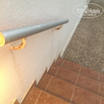 фото из отзыва ID 1386198