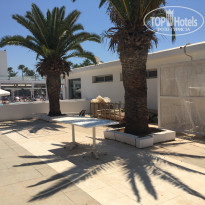 фото из отзыва ID 1386198