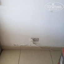 фото из отзыва ID 1386198